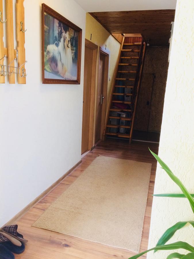 Apartmani Bozana Vojinovic Žabljak Zimmer foto